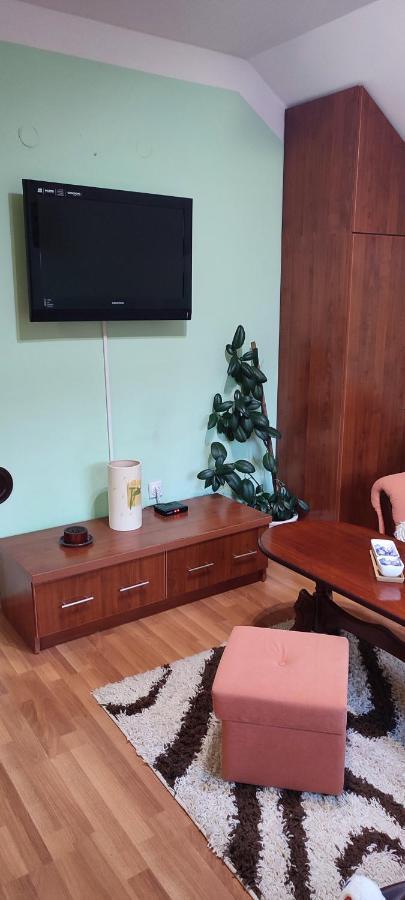 Apartman Sara Pale - Ski Centar Ravna Planina Exterior foto